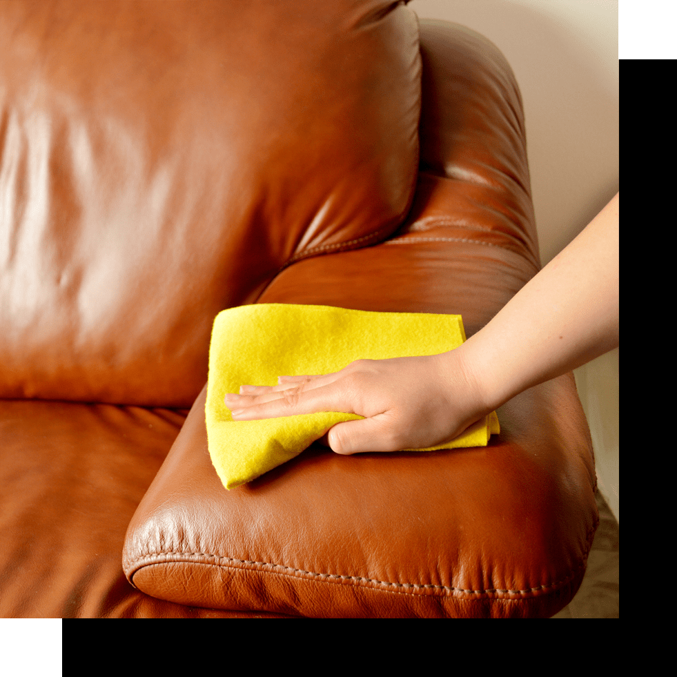 leather sofa cleaning